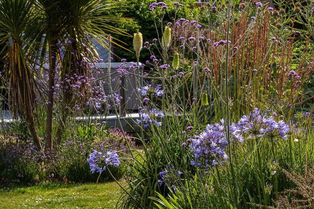 Villa The Beach House-Devon- On The Beach- Sleeps 20 à Exmouth Extérieur photo